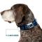 Show in main carousel: Buckle-Down Mopar Logo Stripe Dog Collar, Small: 13 to 17-in neck, 1.5-in wide slide 7 of 8