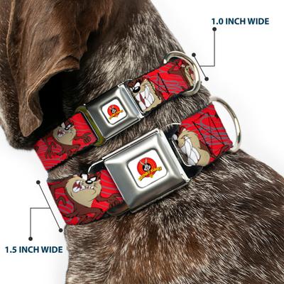 Show full view: Buckle-Down Looney Tunes Tasmanian Devil Expressions Dog Collar, Medium: 11 to 16.5-in neck, 1-in wide slide 2 of 8