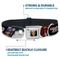 Show in main carousel: Buckle-Down Marvel Comics Guardians of the Galaxy Character Pose Dog Collar, Small: 13 to 17-in neck, 1.5-in wide slide 4 of 8