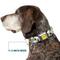 Show in main carousel: Buckle-Down Peanuts Worldwide LLC Peanuts Snoopy Pose Dog Collar, Small: 9.5 to 13-in neck, 1-in wide slide 7 of 8