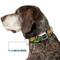 Show in main carousel: Buckle-Down Nickelodeon Ninja Turtles Turtle Poses Pizza Slices Dog Collar, Medium: 11 to 16.5-in neck, 1-in wide slide 7 of 8