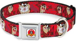 Buckle-Down Looney Tunes Tasmanian Devil Expressions Dog Collar, Large: 15 to 24-in neck, 1-in wide