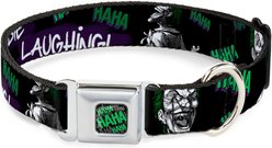 Buckle-Down DC Comics Joker Die Laughing Haha Dog Collar, Medium: 11 to 16.5-in neck, 1-in wide