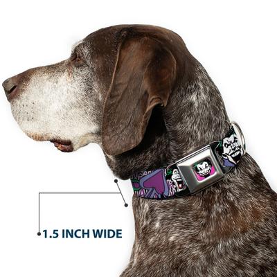 Show full view: Buckle-Down DC Comics Joker Face Logo Spades Dog Collar, Medium: 16 to 23-in neck, 1.5-in wide slide 8 of 9