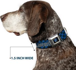 Buckle-Down Warner Bros. Harry Potter Ravenclaw Checker Dog Collar, Large: 15 to 24-in neck, 1-in wide slide 2 of 8