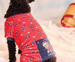 LIFE IS GOOD Rocket Santa Suit Dog Pajamas, Large slide 2 of 2