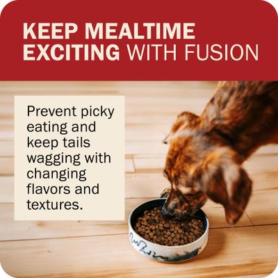 Show full view: Redbarn Powerfood Fusion Air Dried Grain-Free Land Beef & Lamb Recipe Kibble Blend Dry Dog Food, 3.5-lb bag slide 7 of 10