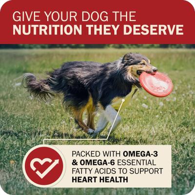 Show full view: Redbarn Powerfood Fusion Air Dried Grain-Free Land Beef & Lamb Recipe Kibble Blend Dry Dog Food, 3.5-lb bag slide 6 of 10