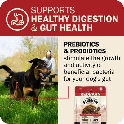 Show full view: Redbarn Powerfood Fusion Air Dried Grain-Free Land Beef & Lamb Recipe Kibble Blend Dry Dog Food, 3.5-lb bag slide 5 of 10