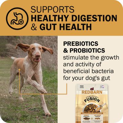 Show full view: Redbarn Powerfood Fusion Air Dried Whole Grain Sky Chicken & Turkey Recipe Kibble Blend Dry Dog Food, 3.5-lb bag slide 5 of 10