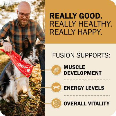 Show full view: Redbarn Powerfood Fusion Air Dried Whole Grain Sky Chicken & Turkey Recipe Kibble Blend Dry Dog Food, 3.5-lb bag slide 3 of 10