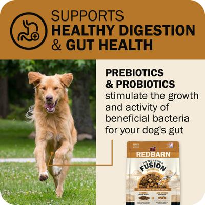 Show full view: Redbarn Powerfood Fusion Air Dried Grain-Free Sky Chicken & Turkey Recipe Kibble Blend Dry Dog Food, 3.5-lb bag slide 5 of 10