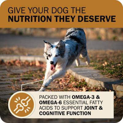 Show full view: Redbarn Powerfood Fusion Air Dried Grain-Free Sky Chicken & Turkey Recipe Kibble Blend Dry Dog Food, 3.5-lb bag slide 6 of 10