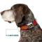 Show in main carousel: Buckle-Down The Wizarding World of Harry Potter Gryffindor Crest Dog Collar, Small: 9.5 to 13-in neck, 1-in wide slide 8 of 9