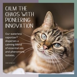 Tranquil Tails Calming Pheromone Diffuser Scented Refill Pads for Cats, 21 count slide 2 of 7