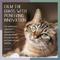 Show in main carousel: Tranquil Tails Calming Pheromone Diffuser Scented Refill Pads for Cats, 21 count slide 7 of 8
