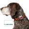 Show in main carousel: Buckle-Down The Wizarding World of Harry Potter Gryffindor Crest Plaid Dog Collar, Large: 20 to 31-in neck, 1.5-in wide slide 8 of 9