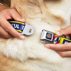 Buckle-Down Grateful Dead Text Box & Steal Your Face Logo Dog Collar, Large: 20 to 31-in neck, 1.5-in wide slide 2 of 8
