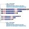 Show in main carousel: Buckle-Down Grateful Dead Good Ol Grateful Dead Text & Stars Dog Collar, Small: 9.5 to 13-in neck, 1-in wide slide 4 of 9