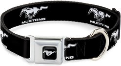 Buckle-Down Ford Mustang Logo Dog Collar, Medium: 11 to 16.5-in neck, 1-in wide