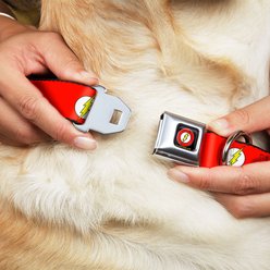 Buckle-Down DC Comics Flash Logo Dog Collar, Large: 20 to 31-in neck, 1.5-in wide slide 2 of 8