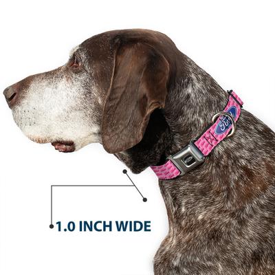 Show full view: Buckle-Down Ford Oval Text Repeat Dog Collar, Medium: 16 to 23-in neck, 1.5-in wide slide 6 of 8