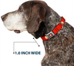 Buckle-Down DC Comics Flash Logo Dog Collar, Small: 9.5 to 13-in neck, 1-in wide slide 2 of 8