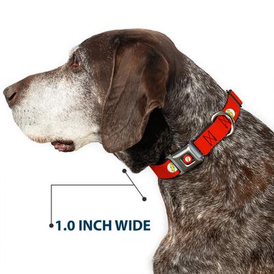Show full view: Buckle-Down DC Comics Flash Logo Dog Collar, Small: 13 to 17-in neck, 1.5-in wide slide 6 of 8