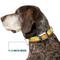 Show in main carousel: Buckle-Down Disney Toy Story Jessie Bounding Cowboy Buckle Lasso Dog Collar, Medium: 11 to 16.5-in neck, 1-in wide slide 8 of 9