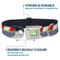 Show in main carousel: Buckle-Down Disney Toy Story Buzz Lightyear Space Ranger Dog Collar, Large: 15 to 24-in neck, 1-in wide slide 4 of 8