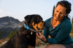 Ruffwear Web Reaction Reflective Dog Collar, River Rock Green, 20 to 23-in neck, 1-in wide slide 2 of 5