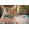 Show in main carousel: Ruffwear Chain Reaction Reflective Dog Collar, Blue Pool, Large: 20 to 26-in neck, 1-in wide slide 7 of 8