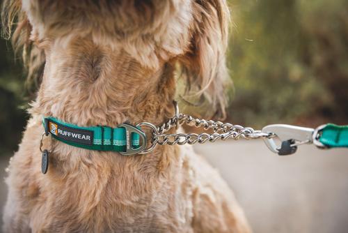 Ruffwear Chain Reaction Reflective Dog Collar