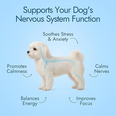 Show full view: Pet Vet Products Beef Flavored Calming Chews Supplement for Dogs, 60 count slide 4 of 7