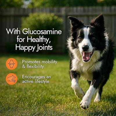 Show full view: Pet Vet Products Glucosamine Beef Flavored Chews Hip & Joint Supplement for Dogs, 60 count slide 5 of 7