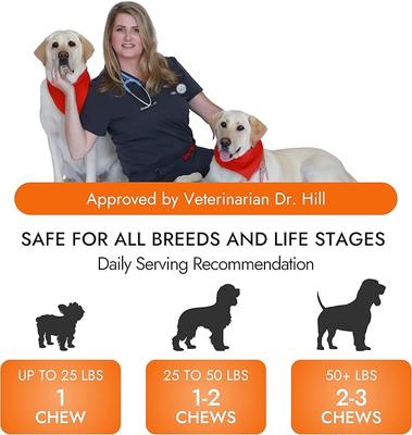 Show full view: Pet Vet Products Glucosamine Beef Flavored Chews Hip & Joint Supplement for Dogs, 60 count slide 6 of 7