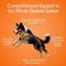 Show in main carousel: Pet Vet Products Glucosamine Beef Flavored Chews Hip & Joint Supplement for Dogs, 60 count slide 4 of 7