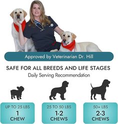 Pet Vet Products Beef Flavored Multi Soft Chews Immune Supplement for Dogs, 60 count slide 2 of 6