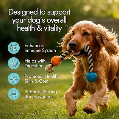 Show full view: Pet Vet Products Beef Flavored Multi Soft Chews Immune Supplement for Dogs, 60 count slide 5 of 7