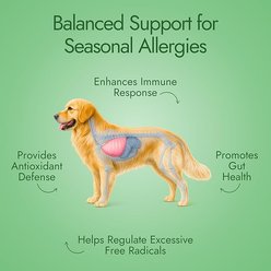 Pet Vet Products Beef Flavored Chews Allergy Relief Supplement for Dogs, 60 count slide 2 of 6