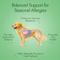 Show in main carousel: Pet Vet Products Beef Flavored Chews Allergy Relief Supplement for Dogs, 60 count slide 4 of 7