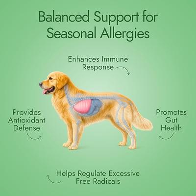 Show full view: Pet Vet Products Beef Flavored Chews Allergy Relief Supplement for Dogs, 60 count slide 4 of 7