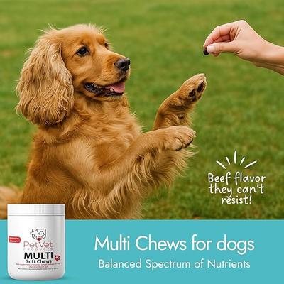 Show full view: Pet Vet Products Beef Flavored Multi Soft Chews Immune Supplement for Dogs, 60 count slide 3 of 7