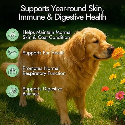 Show full view: Pet Vet Products Beef Flavored Chews Allergy Relief Supplement for Dogs, 60 count slide 5 of 7