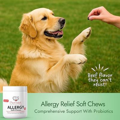Show full view: Pet Vet Products Beef Flavored Chews Allergy Relief Supplement for Dogs, 60 count slide 3 of 7