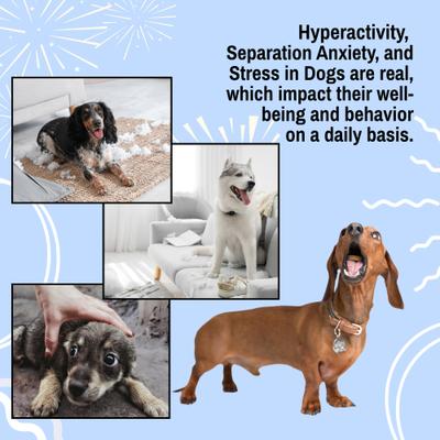 Show full view: Relax Dog Daily Calming Aid for Medium Size Dogs, 0.24-fl oz pouch, 30 count slide 3 of 10