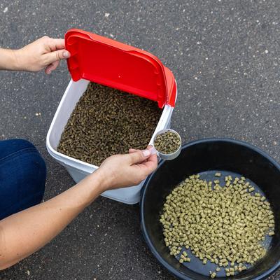 Show full view: Med-Vet Pharmaceuticals (MVP) E-Clipse'PM Pellets Horse Supplement, 6-lb slide 3 of 3