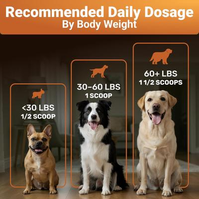 Show full view: Wuffwell Pumpkin Digestive Aid Supplement Powder, 2-oz slide 9 of 11