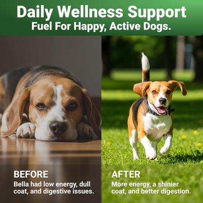 Show full view: Wuffwell Super Greens Supplement Powder for Dogs, 2-oz slide 5 of 11