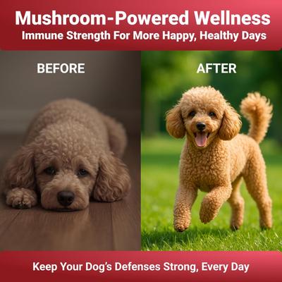 Show full view: Wuffwell Seven Shrooms Mushroom Powder Supplement for Dogs, 2-oz slide 5 of 10